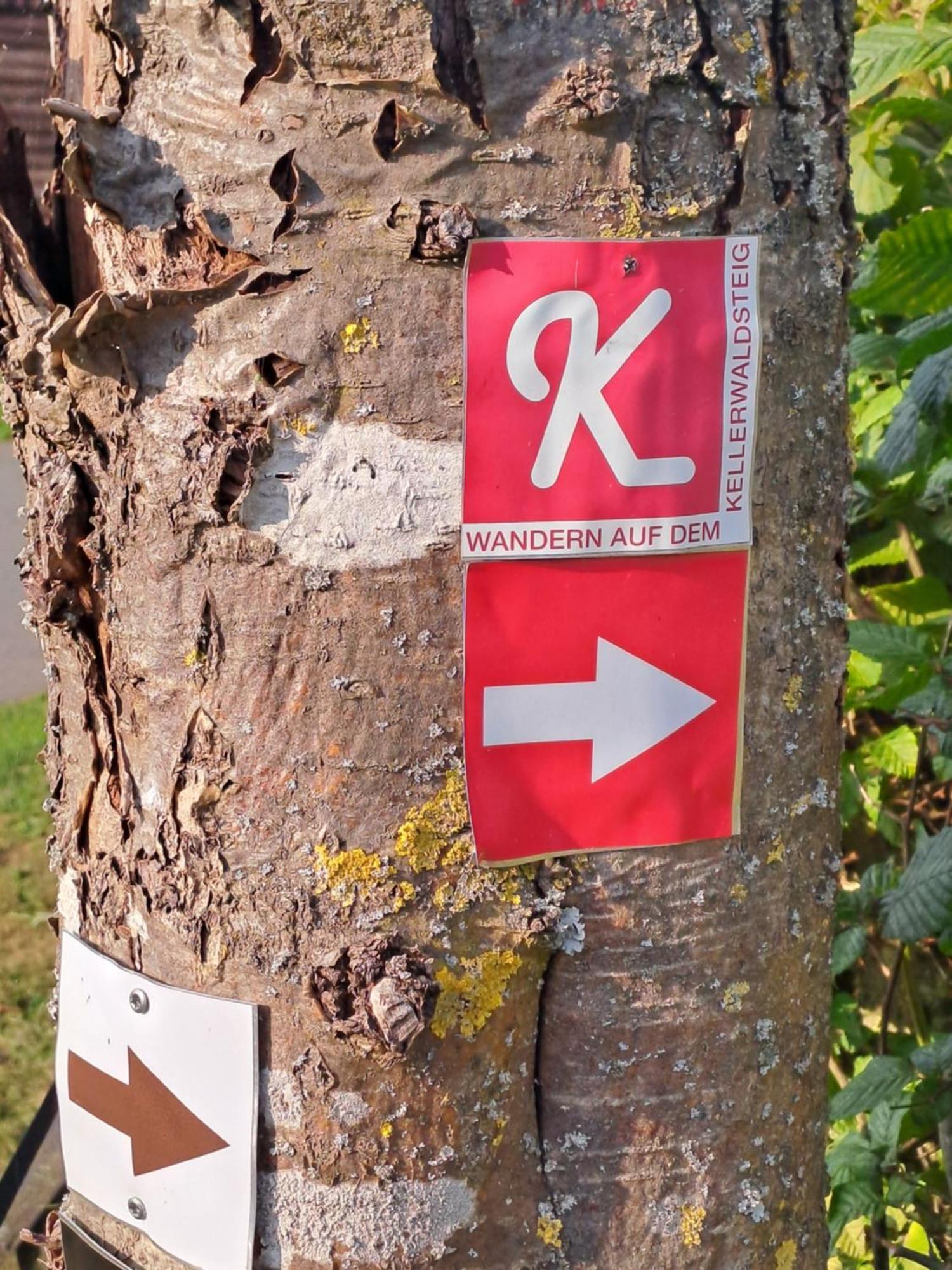 Ferienwohnung Schaefer Am Nationalpark Kellerwald Frankenau Exterior foto